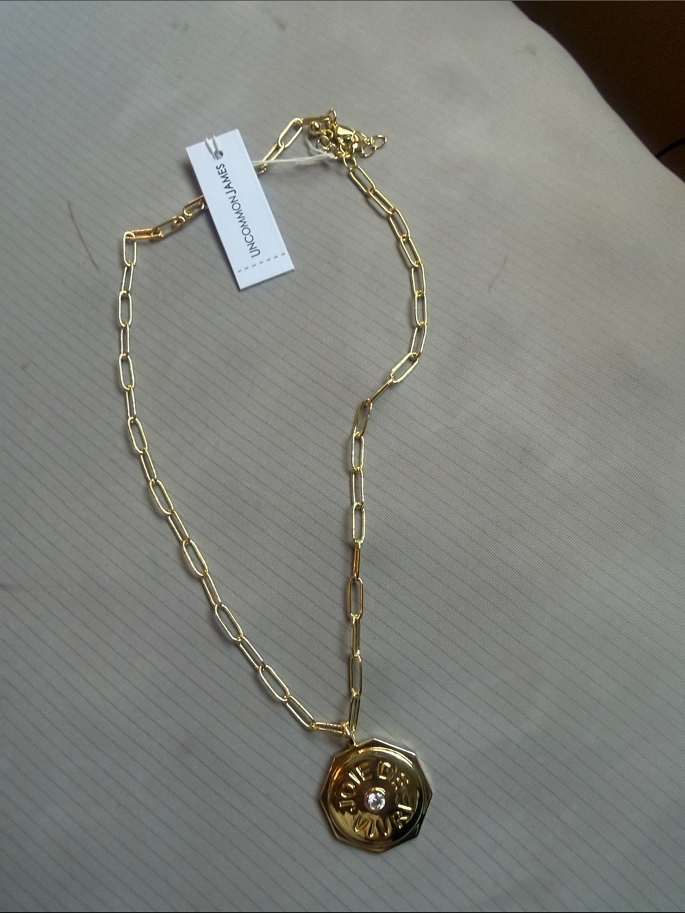 NWT Uncommon James Gold Medallion Pendant Paperclip Chain Necklace